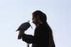 falconeriafreddy201122_small.jpg