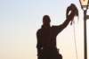 falconeriafreddy201126_small.jpg