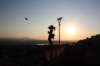 falconeriafreddy201130_small.jpg