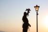 falconeriafreddy201131_small.jpg