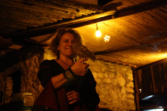 falconeriafreddy201139.jpg