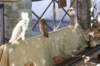 falconeriafreddy201168_small.jpg
