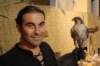 falconeriafreddy201173_small.jpg