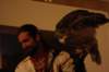 falconeriafreddy2012106_small.jpg