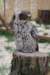falconeriafreddy2012111_small.jpg
