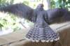 falconeriafreddy2012182_small.jpg