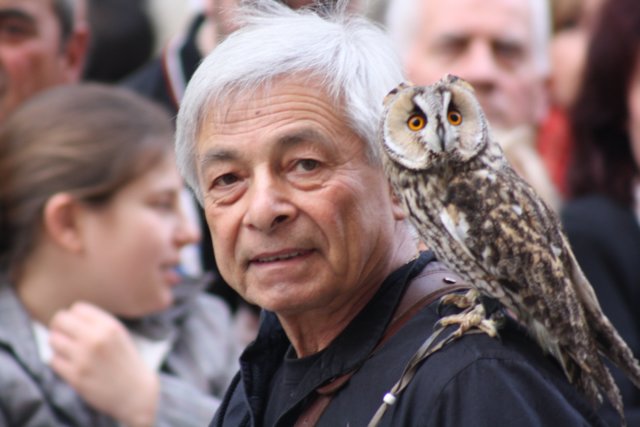 falconeriafreddy20126.jpg