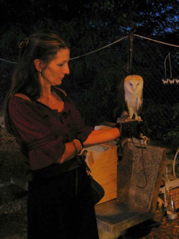 falconeriafreddynovella.jpg