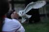 falconeriafreddy_eventi201332_small.jpg