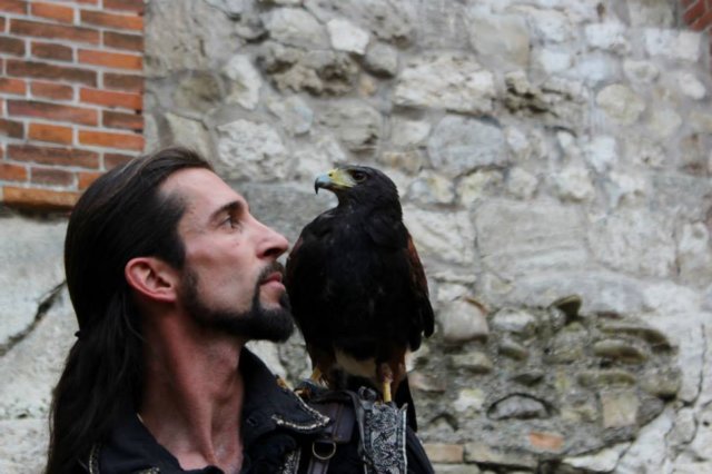 falconeriafreddy_eventi20137.jpg