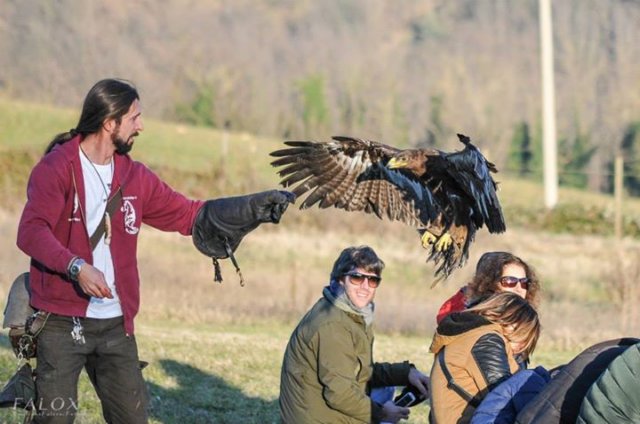 giornataconilfalconiere201413.jpg