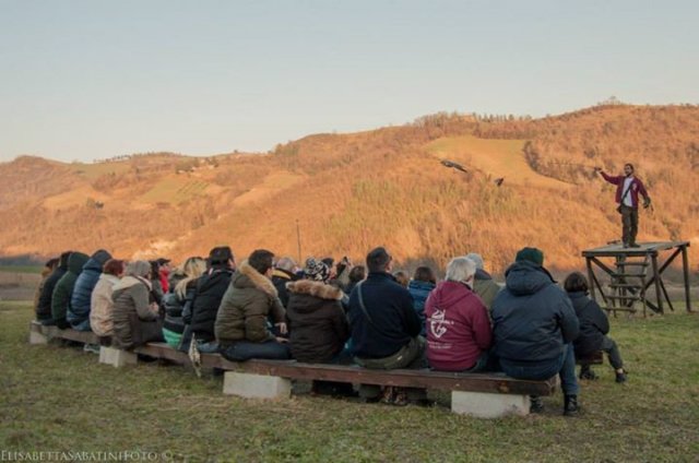 giornataconilfalconiere201414.jpg