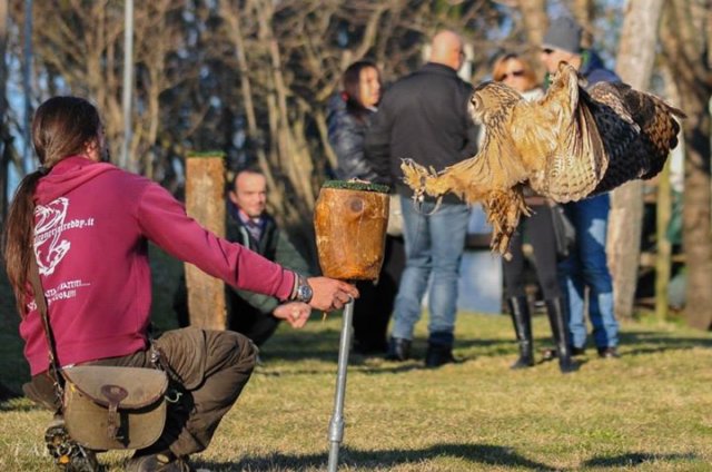 giornataconilfalconiere201422.jpg