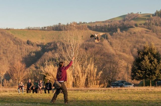 giornataconilfalconiere201427.jpg