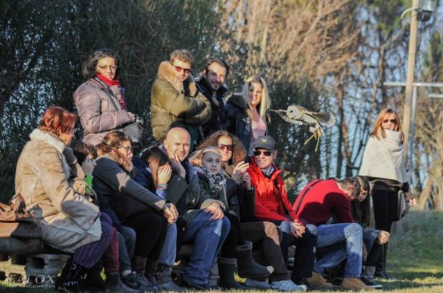 giornataconilfalconiere201429.jpg
