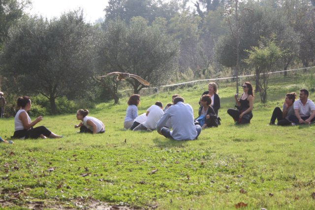 giornataconilfalconiere201458.jpg