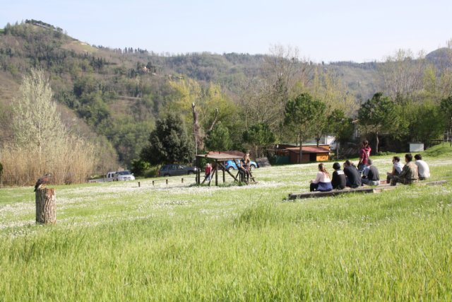 giornataconilfalconiere201476.jpg