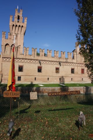 foto_adri_201468.jpg