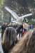 foto_adri_201485_small.jpg
